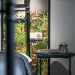 Rent In