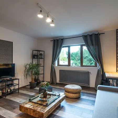 Rent In * 클루지나포카